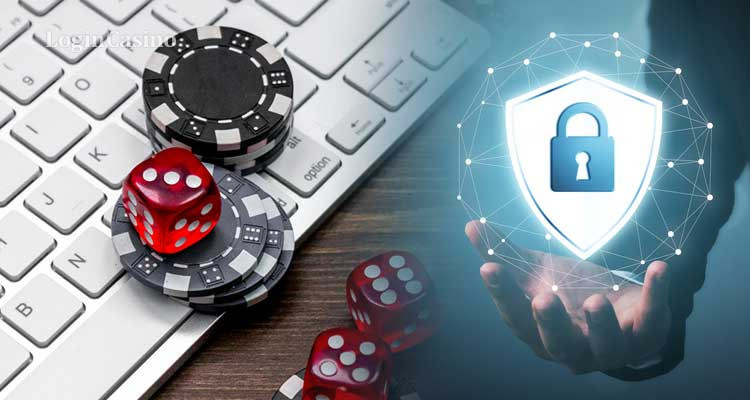 Comprehensive Guide to Privacy Policy FlashDash