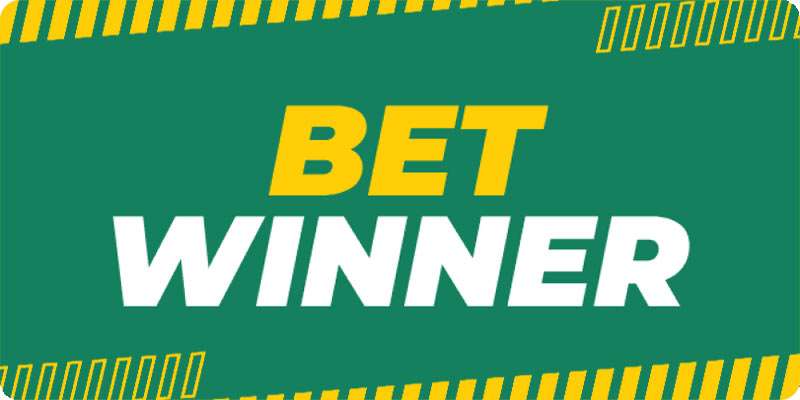 Comprehensive Reviews Betwinner for Serious Gamblers