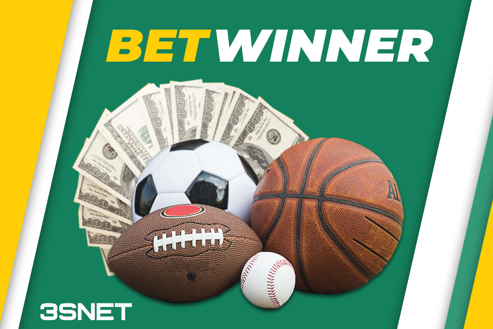 Comprehensive Reviews Betwinner for Serious Gamblers