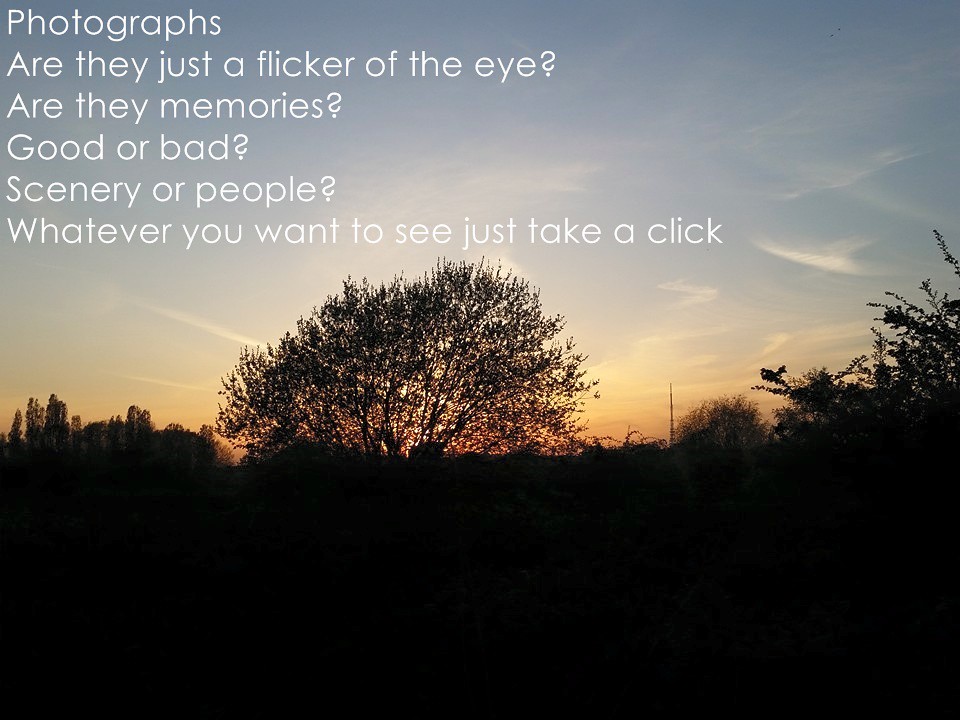 Laugh, Learn, and Connect with QuotePoem 34